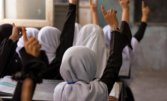 Des filles à l'école à Herat, en Afghanistan.